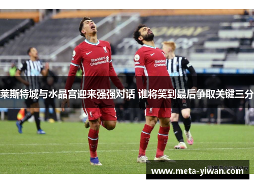 莱斯特城与水晶宫迎来强强对话 谁将笑到最后争取关键三分