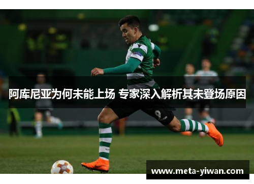 阿库尼亚为何未能上场 专家深入解析其未登场原因