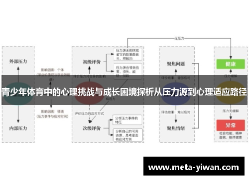 青少年体育中的心理挑战与成长困境探析从压力源到心理适应路径