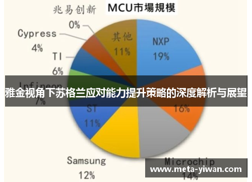 雅金视角下苏格兰应对能力提升策略的深度解析与展望
