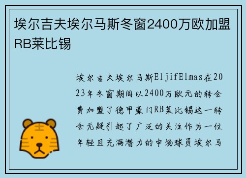 埃尔吉夫埃尔马斯冬窗2400万欧加盟RB莱比锡
