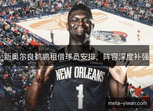新奥尔良鹈鹕租借球员安排，阵容深度补强